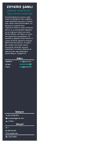 Hasta ve Yaşlı Bakım Elemanı Cv Örnekleri cv indir